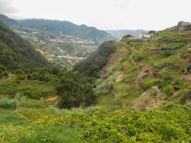 18 August 2017 Circuit above Porto da Cruz — Along the Levada do Poco do Arvoredo to the Caminho da Praia do Larano — photo 10