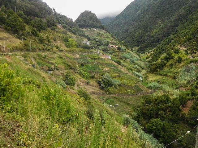 Levada do Poco do Arvoredo — Aussichtsreich bis Lorano — Foto 3