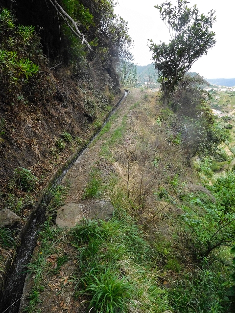 Levada da Fajazinha — Along the fields — photo 2