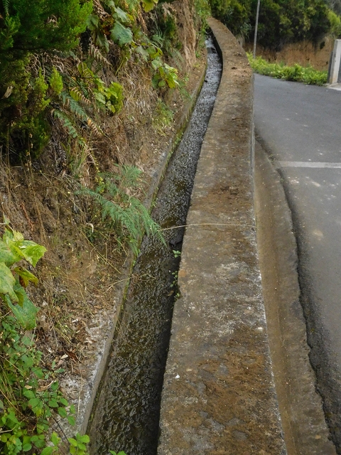 Levada do Poco do Arvoredo — Strassenkreuzung — Foto 4