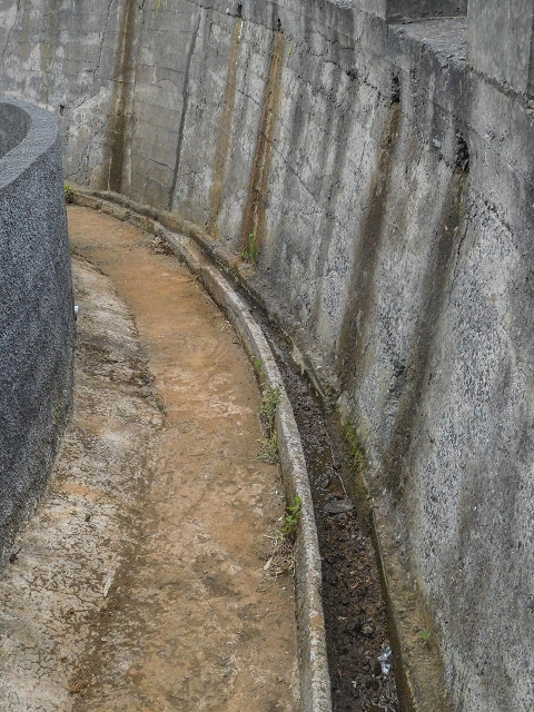 18 August 2017 Circuit above Porto da Cruz — Along the Levada do Poco do Arvoredo to the Caminho da Praia do Larano — photo 20