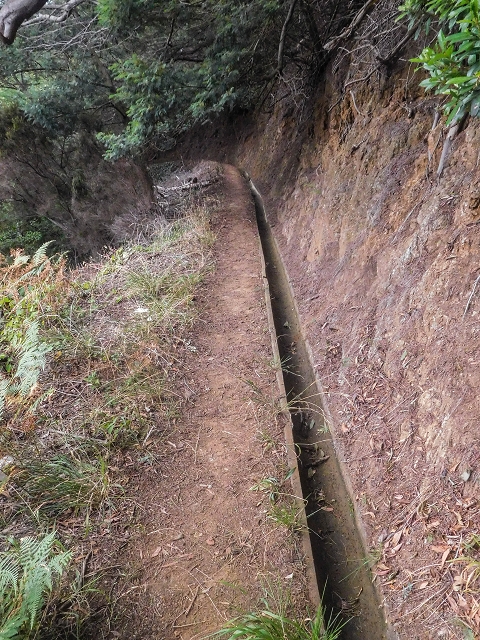 Levada do Poco do Arvoredo — Entlang der Felder zum Caminho da Praia do Lorano — Foto 3