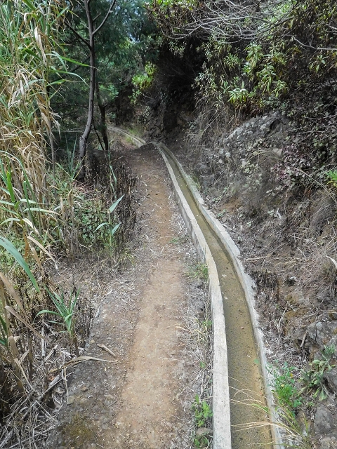 Levada do Poco do Arvoredo — Entlang der Felder zum Caminho da Praia do Lorano — Foto 4