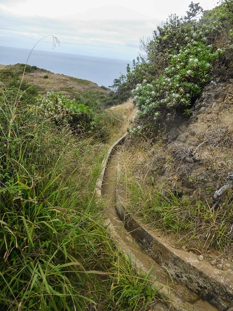 18 August 2017 Circuit above Porto da Cruz — Along the Levada do Poco do Arvoredo to the Caminho da Praia do Larano — photo 27