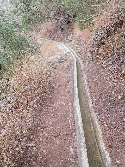 18 August 2017 Circuit above Porto da Cruz — Along the Levada do Poco do Arvoredo to the Caminho da Praia do Larano — photo 29