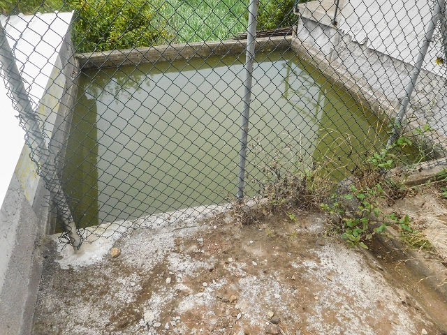 18 August 2017 Circuit above Porto da Cruz — Along the Levada do Poco do Arvoredo to the Caminho da Praia do Larano — photo 31