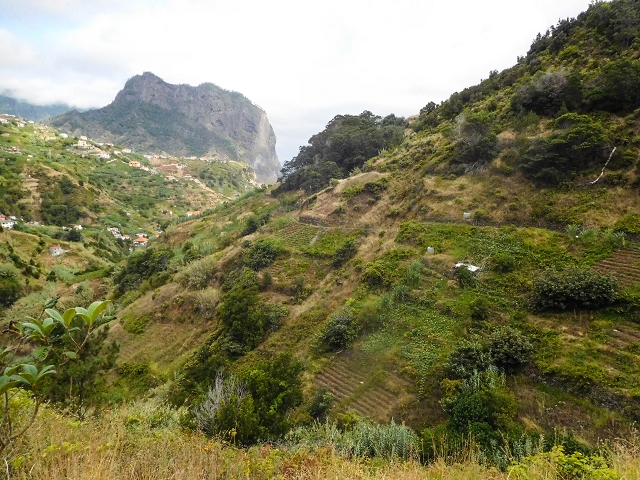 18 August 2017 Circuit above Porto da Cruz — On the Levada da Fajazinha to the end and as far as the Madre — photo 19