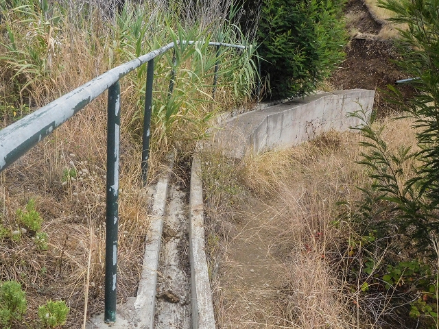 Levada do Poco do Arvoredo — Umgehung der abgebrochenen Stelle — Foto 2