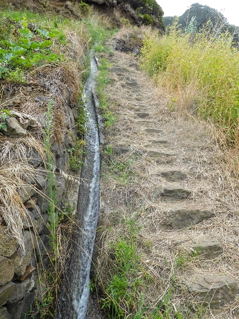 Levada da Fajazinha — The small levada stairway — photo 3