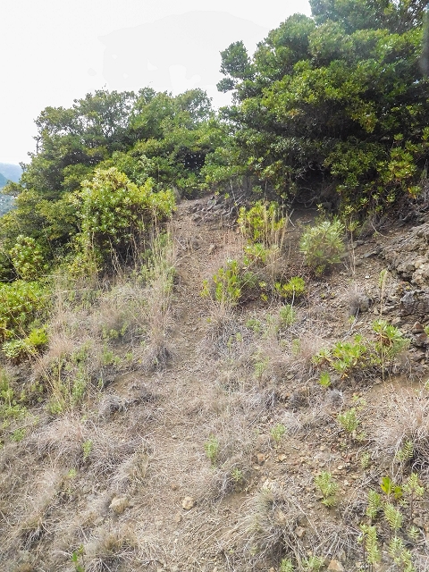 18 August 2017 Circuit above Porto da Cruz — On to the boundary stone — photo 9