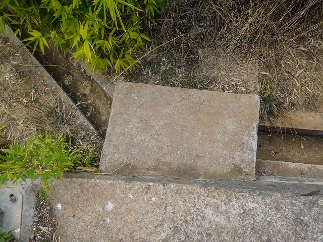 Levada do Poco do Arvoredo — Endäste — Foto 2