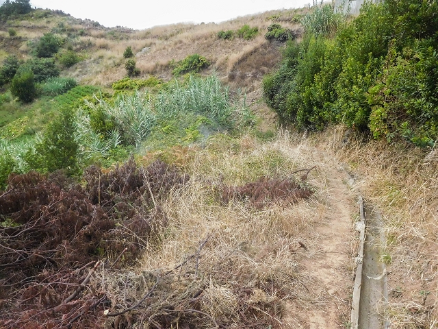 Levada do Poco do Arvoredo — Endäste — Foto 3