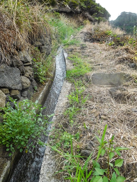 Levada da Fajazinha — The small levada stairway — photo 2