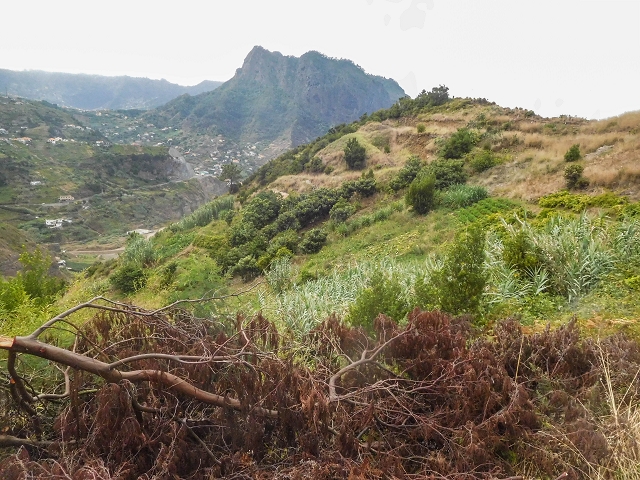 18 August 2017 Circuit above Porto da Cruz — Branching of the terminal branches of the Levada do Poco do Arvoredo and back to the start — photo 4