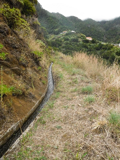 18 August 2017 Circuit above Porto da Cruz — On the Levada da Fajazinha to the end and as far as the Madre — photo 22