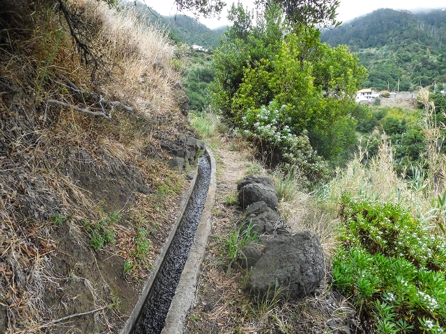 18 August 2017 Circuit above Porto da Cruz — On the Levada da Fajazinha to the end and as far as the Madre — photo 25
