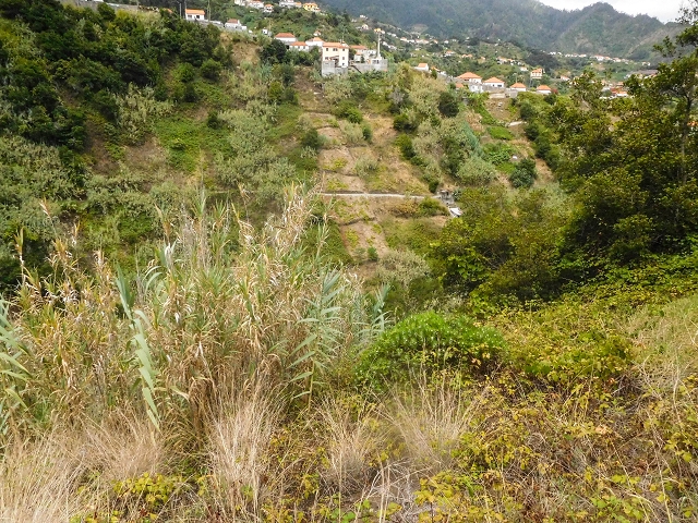 Levada da Maiata — Percurso normal da levada — foto 2