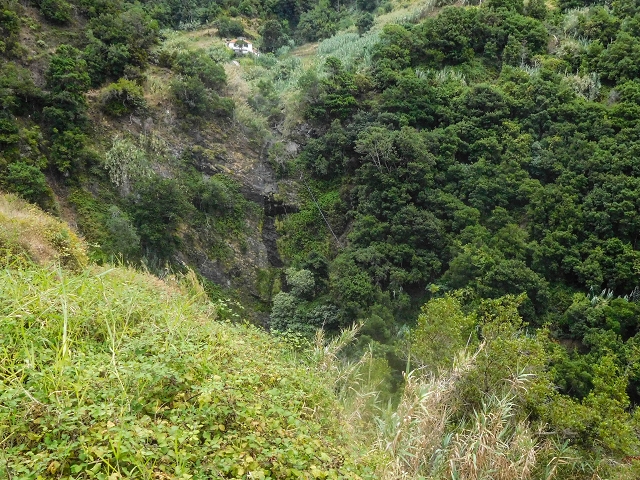 Levada da Maiata — Madre, afluência da Levada da Portela e tubagem no Corrego da Nozelha — foto 4
