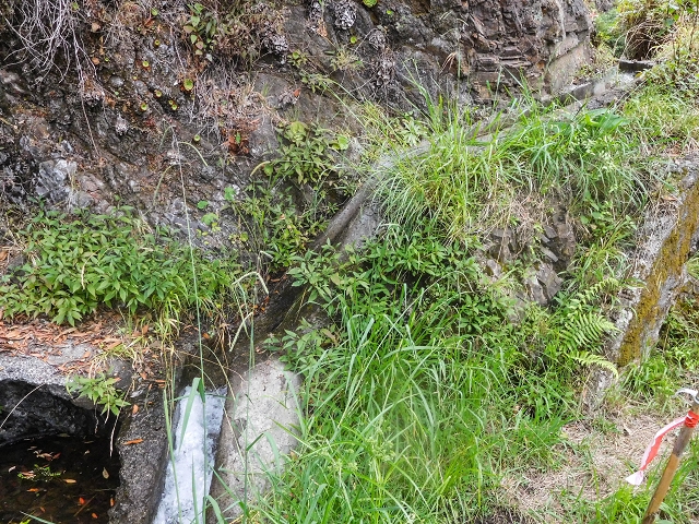 Levada da Fajazinha — The passage along the gorge — photo 4