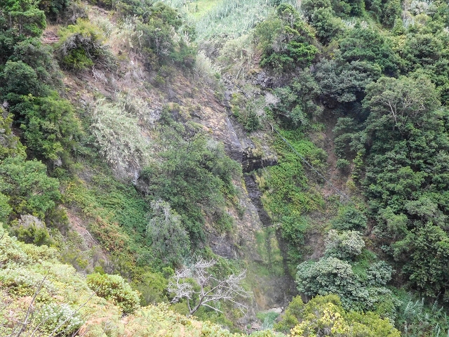 Levada da Maiata — Madre, afluência da Levada da Portela e tubagem no Corrego da Nozelha — foto 3