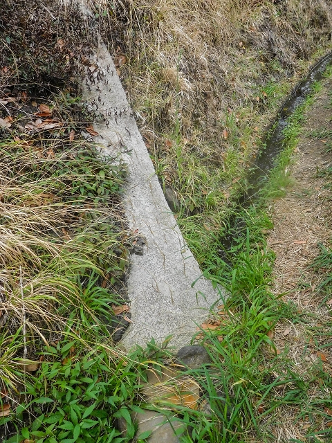 Levada da Fajazinha — First metres and 2 inflows from the Levada da Fajazinha sup. — photo 4