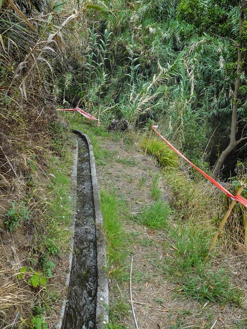 Levada da Fajazinha — First metres and 2 inflows from the Levada da Fajazinha sup. — photo 2