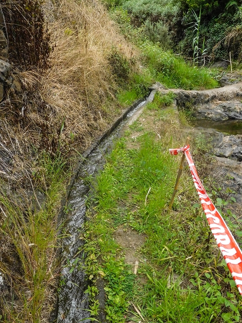 Levada da Fajazinha — First metres and 2 inflows from the Levada da Fajazinha sup. — photo 1