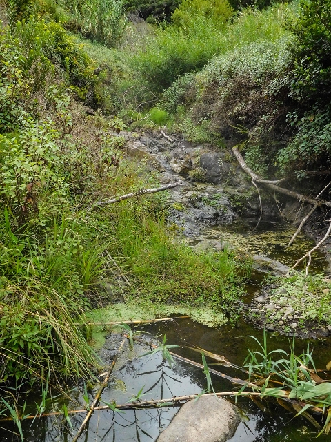 Levada da Fajazinha — Madre and inflow from the Levada da Portela — photo 3