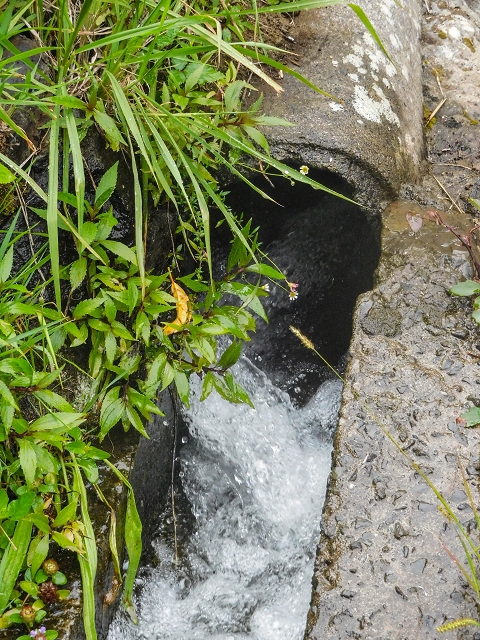 Levada da Fajazinha — Madre and inflow from the Levada da Portela — photo 4