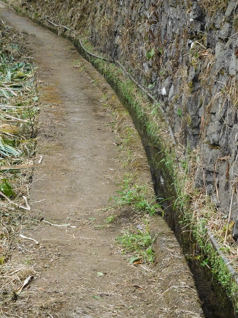 Levada da Nozelha — Oberhalb der Felder — Foto 2