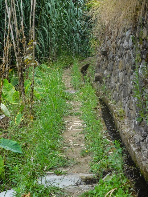 Levada da Nozelha — Oberhalb der Felder — Foto 1