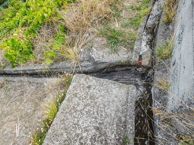 Levada da Fajazinha — Beyond the reservoir — photo 3