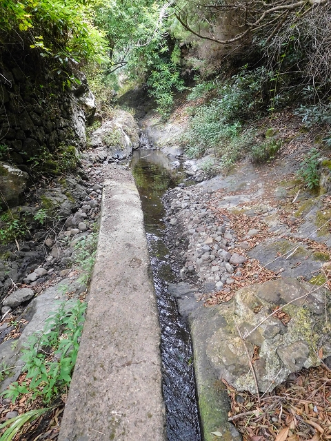Levada da Nozelha — Madre und erste Meter — Foto 2