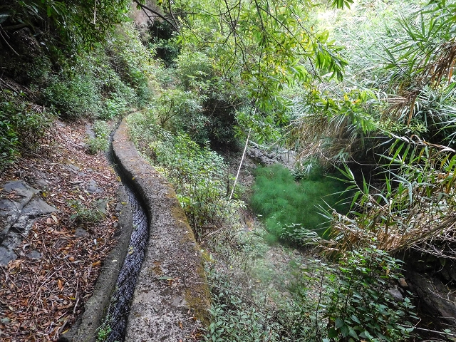 Levada da Nozelha — Madre und erste Meter — Foto 3