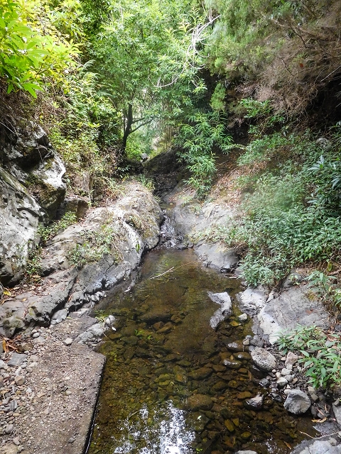 Levada da Nozelha — Madre und erste Meter — Foto 1