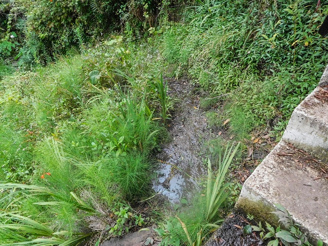 Levada da Nozelha — Madre und erste Meter — Foto 5