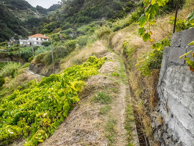 Levada da Fajazinha — Beyond the reservoir — photo 4