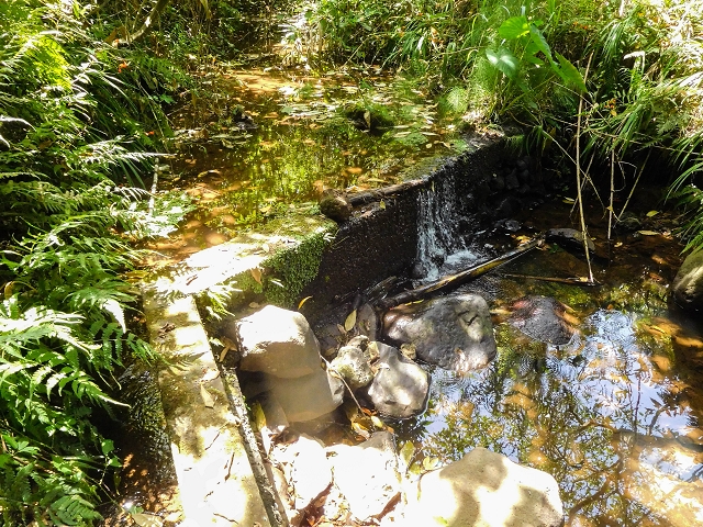 Levada da Fajazinha sup. — Foto 1