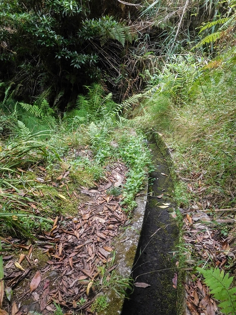 Levada da Fajazinha sup. — Foto 2
