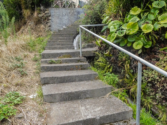 18 August 2017 Circuit above Porto da Cruz — Again on the Levada da Nozelha to the Levada da Portela and the water offtake — photo 5