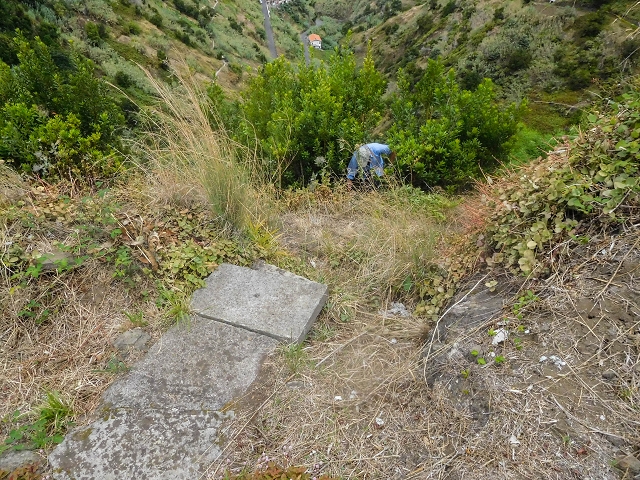 Levada da Maiata — Madre, afluência da Levada da Portela e tubagem no Corrego da Nozelha — foto 2