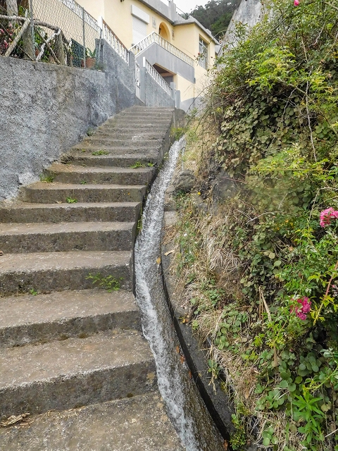 Levada da Portela — Levada aberta no troço inferior — foto 4