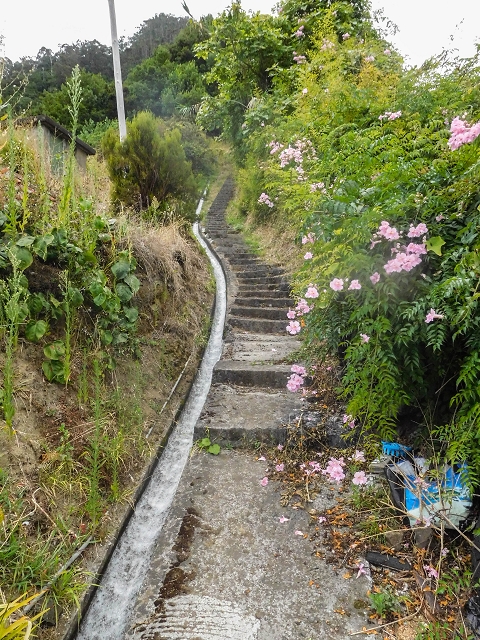Levada da Portela — Levada aberta no troço inferior — foto 2