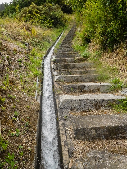 Levada da Portela — Levada aberta no troço inferior — foto 1