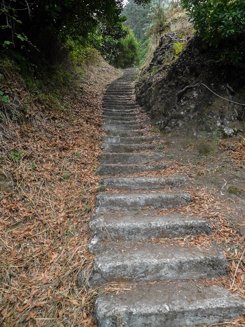 Levada da Portela — Escada ao lado da levada entubada — foto 1
