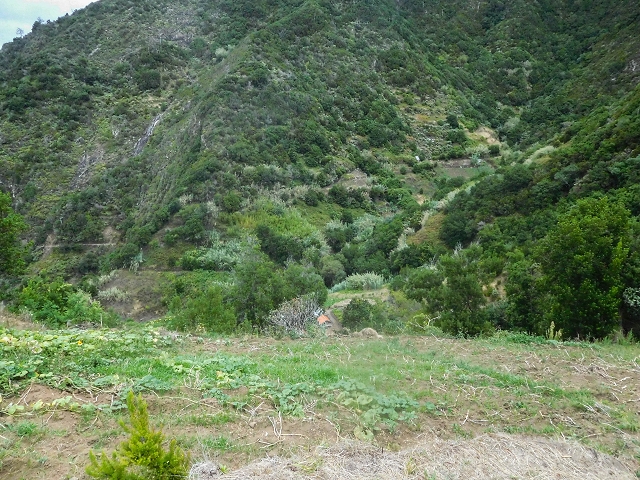 18 August 2017 Circuit above Porto da Cruz — Ascent along the Levada da Portela — photo 8