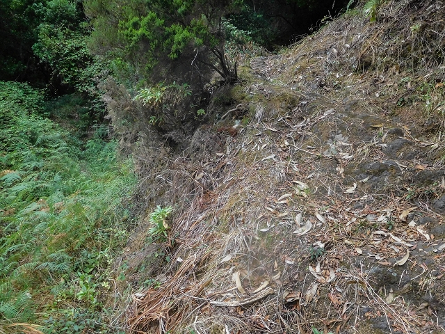 Levada da Portela — Cruzamento da levada entubada com o caminho (curto troço aberto para aliviar a pressão) — foto 3