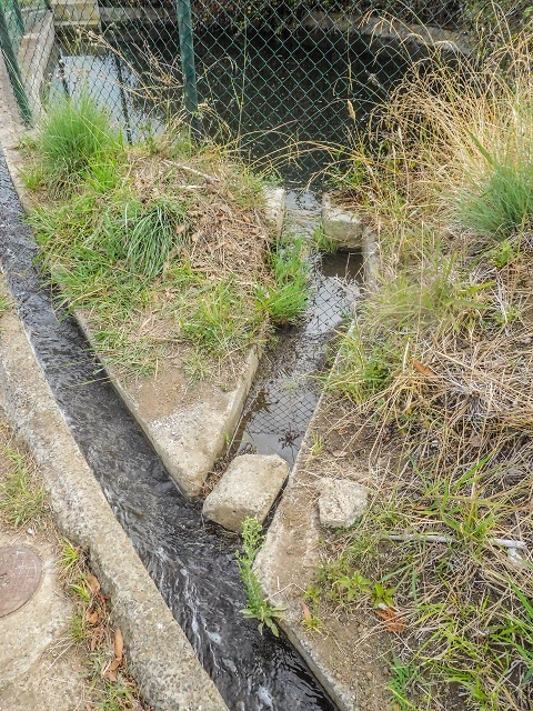 Levada da Fajazinha — The reservoir — photo 2