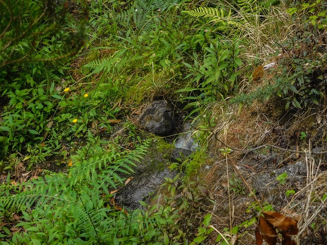 Levada da Portela — Cruzamento da levada entubada com o caminho (curto troço aberto para aliviar a pressão) — foto 1