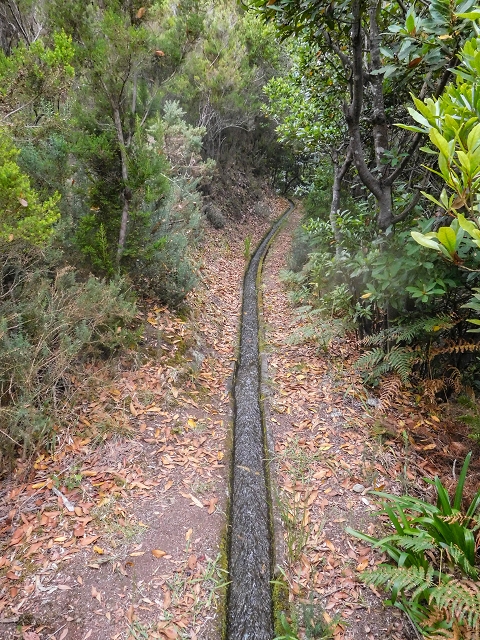 18 August 2017 Circuit above Porto da Cruz — Ascent along the Levada da Portela — photo 14
